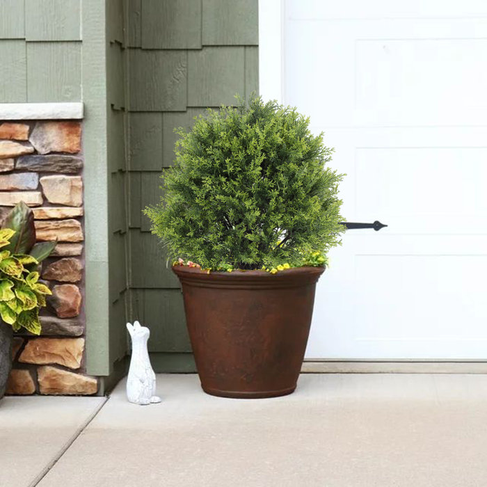 Primrue Levine Artificial Topiary Cedar Ball Tree 24'' Fake Cedar Potted Plants & Reviews Wayfair